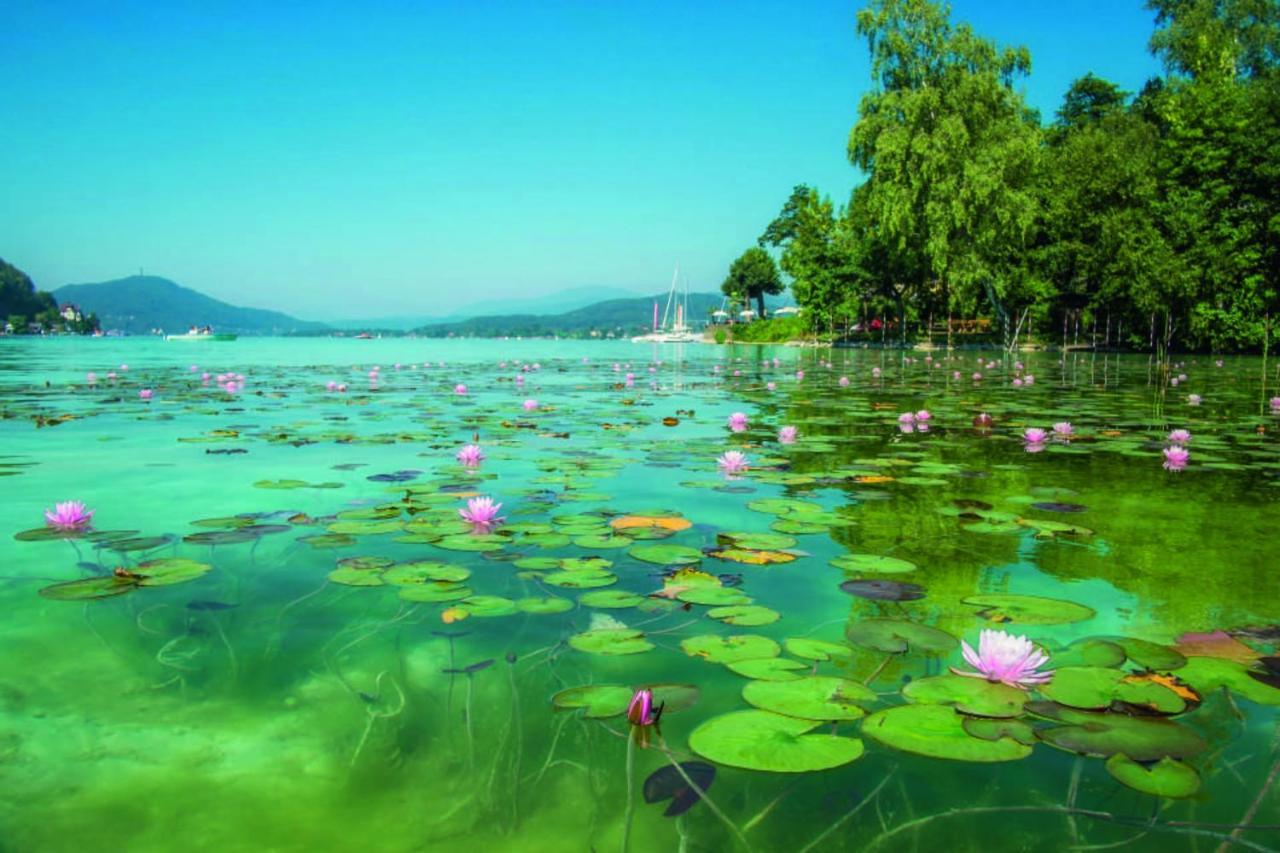 Studios Klagenfurt Klagenfurt am Wörthersee Exterior foto